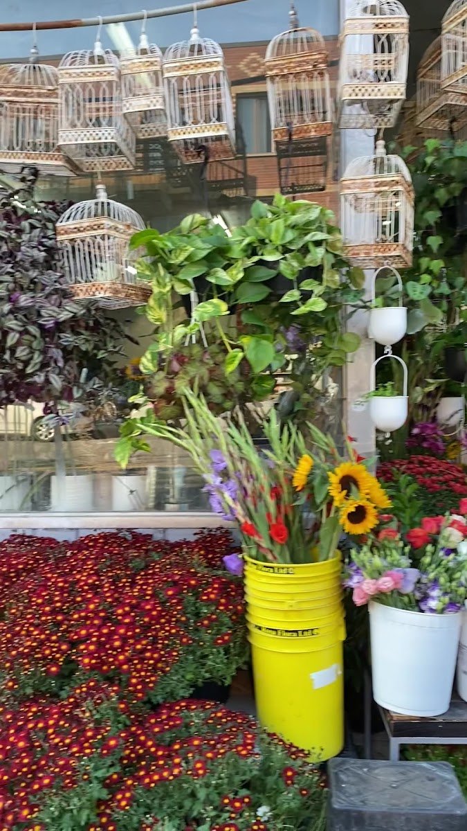 Cages à oiseaux blanches suspendues, débordant de fleurs, sur la devanture de la boutique.