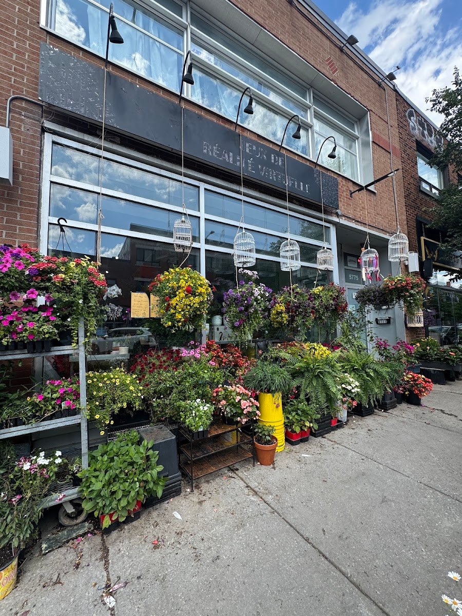 La devanture de Dragon Flowers sur le boulevard Saint-Laurent, ornée de cages à oiseaux et débordante de fleurs et de plantes.